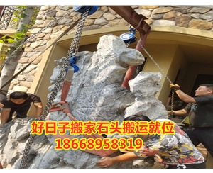 樹(shù)木 奇石搬運(yùn)吊裝就位